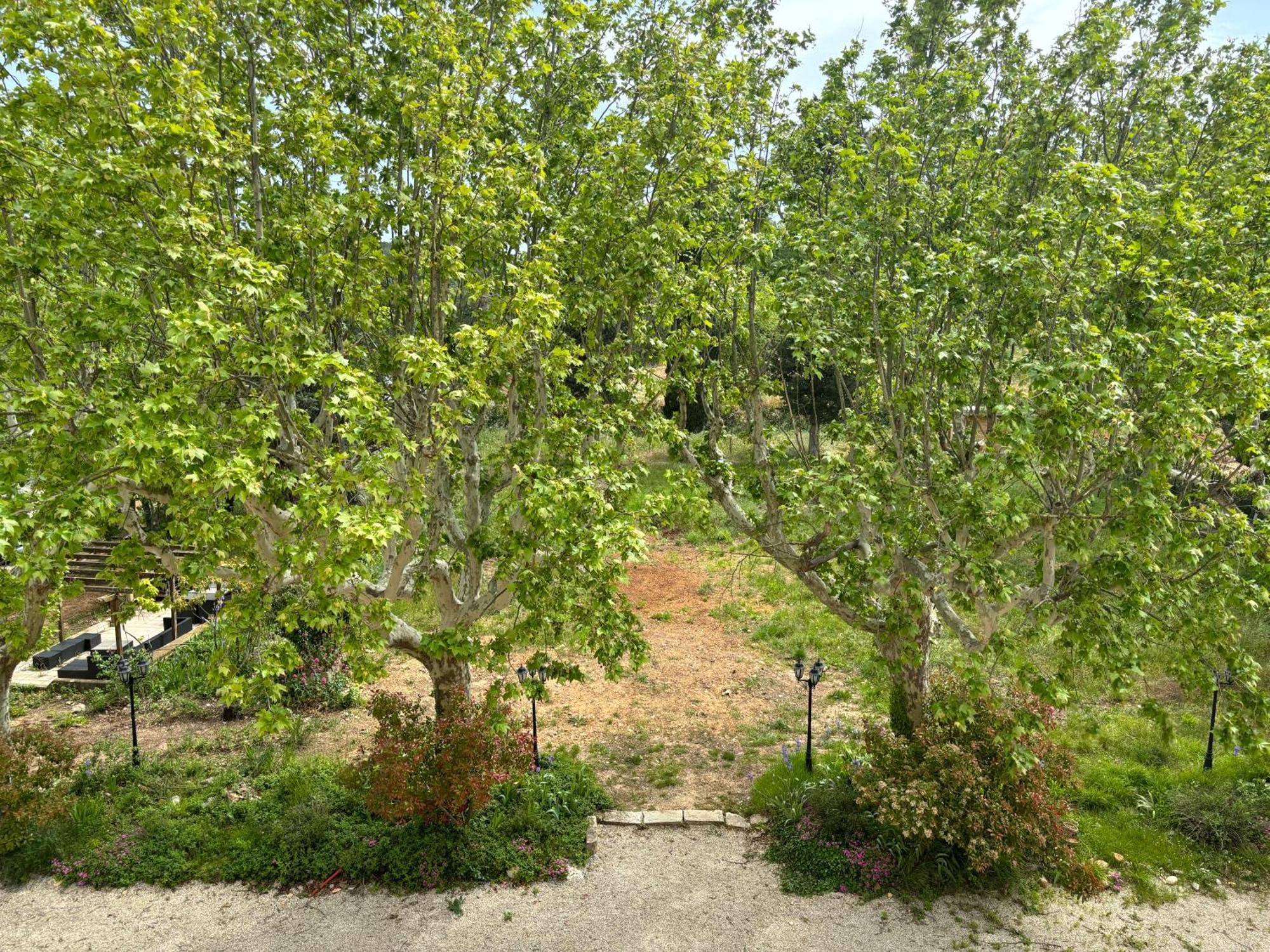 Appartement De Standing Dans Une Bastide Aixoise Aix-en-Provence Dış mekan fotoğraf